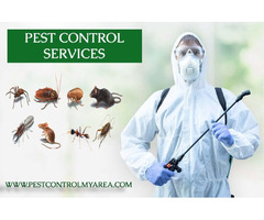 How To Get Pest Control My Area | free-classifieds-usa.com - 2