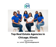 Top Real Estate Agencies in Chicago, Illinois | free-classifieds-usa.com - 1