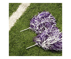 Dazzle and Delight with Glitter Pom Poms | free-classifieds-usa.com - 1