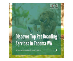 Discover Top Pet Boarding Services in Tacoma WA | free-classifieds-usa.com - 1