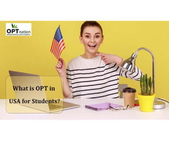 What Is OPT In USA For Students? OPT Nation | free-classifieds-usa.com - 1