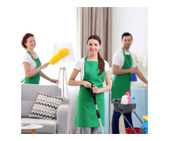 Expert Cleaning by Maid Above provides natural perfection! | free-classifieds-usa.com - 1