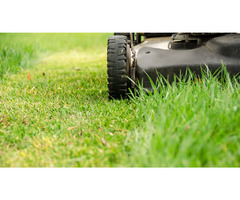Lawn Care Mowing  | free-classifieds-usa.com - 1