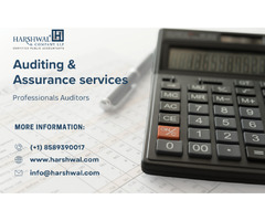 Clear Insights with Auditing & Assurance Services | free-classifieds-usa.com - 1