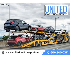 Your Trusted Partner for Reliable Vehicle Transport Services | free-classifieds-usa.com - 1