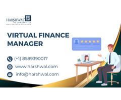 Virtual Finance Manager to elevate your finances | free-classifieds-usa.com - 1
