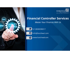 Financial controller services: The future of better finance | free-classifieds-usa.com - 1