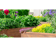 Elevated Garden Bed | free-classifieds-usa.com - 1