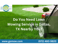 Do You Need Lawn Mowing Service in Dallas, TX Nearby You? | free-classifieds-usa.com - 1