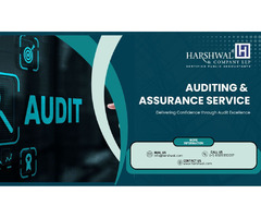 Best Auditing Partner for Auditing & Assurance Services | free-classifieds-usa.com - 1