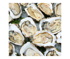Best Oyster Roast Casteres in Charleston, SC  | free-classifieds-usa.com - 1