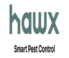 Hawx Pest Control | free-classifieds-usa.com - 1