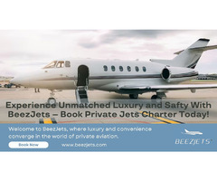 Experience Unmatched Luxury and Safty With BeezJets – Book Private Jets Charter Today! | free-classifieds-usa.com - 1