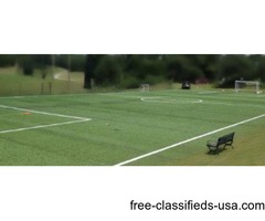 Artificial Turf (Synthetic Grass) | free-classifieds-usa.com - 1
