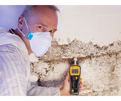 Expert Mold Testing Services: Ensuring Healthier Environments | free-classifieds-usa.com - 1