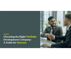 Unlocking Business Potential with NetSuite Development: A Comprehensive Guide | free-classifieds-usa.com - 1