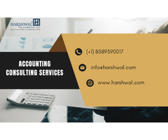 Understanding Accounting Consulting Services and its benefits | free-classifieds-usa.com - 1