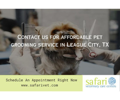 Contact us for affordable pet grooming service in League City, TX.  | free-classifieds-usa.com - 1