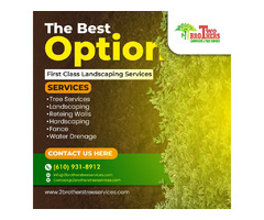 Two Brothers Landscaping And Tree Services | free-classifieds-usa.com - 2