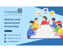 State & Local Government Accounting Experts at Your Service | free-classifieds-usa.com - 1