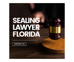 Seeking Sealing Lawyer in Florida - Legal Assistance Needed! | free-classifieds-usa.com - 1