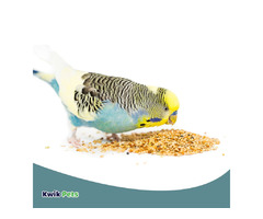 Volkman Seed Avian Science Super Parakeet 4lb | free-classifieds-usa.com - 4