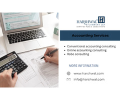 Expert Accounting Service Company - Elevate Your Business  | free-classifieds-usa.com - 1