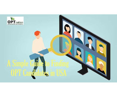 A Simple Guide to Finding OPT Candidates in USA  | free-classifieds-usa.com - 1
