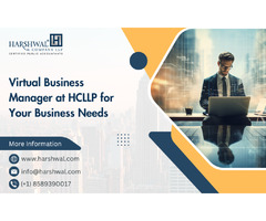 Virtual Business Manager at HCLLP for your business needs | free-classifieds-usa.com - 1