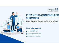 Financial controller services to manage your finances | free-classifieds-usa.com - 1