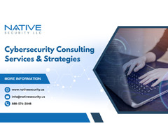 Advanced Cybersecurity Services for Your Enterprise | Native Security | free-classifieds-usa.com - 1