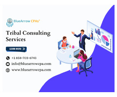Excellent Tribal Consulting Services - BlueArrow CPAs | free-classifieds-usa.com - 1