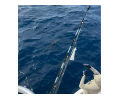 Marlin Fishing Charters | Warrior Sportfishing | free-classifieds-usa.com - 1