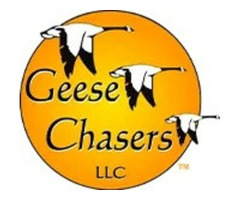 Geese Chasers: Best geese removal service in New Jersey | free-classifieds-usa.com - 1