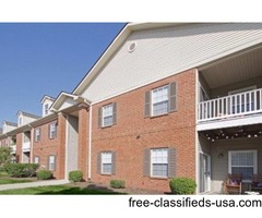 Standard Apartment For Rent | free-classifieds-usa.com - 1