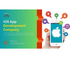Communication and Collaboration: One of The Vital Aspect in an IOS Mobile App Development Company. | free-classifieds-usa.com - 1