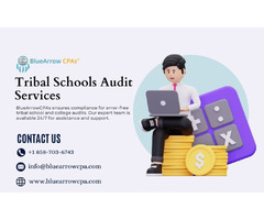 Ensuring Reliability and Compliance with Tribal Schools Audit Services | free-classifieds-usa.com - 1