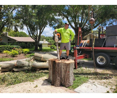 Get Top-Quality Tree Removal Services in Your Area | free-classifieds-usa.com - 1