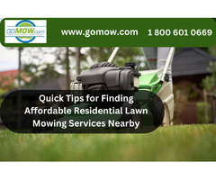 Quick Tips for Finding Affordable Residential Lawn Mowing Services Nearby | free-classifieds-usa.com - 1