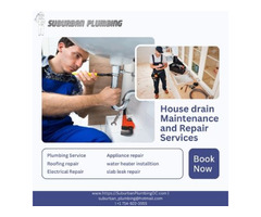 Drain cleaning services in Midway City | free-classifieds-usa.com - 1