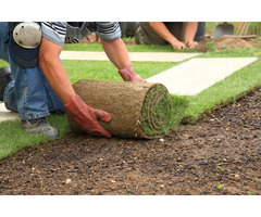 Transform Your Outdoor Space With RototillerGuy's Expert Landscaping Service! | free-classifieds-usa.com - 1