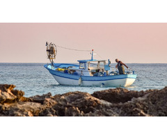 Deep sea fishing charter | Capt. Dave Tile Fishing Charter | free-classifieds-usa.com - 4