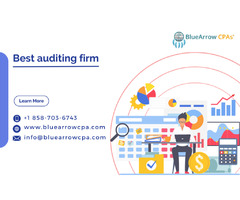 Best Auditing Firm for Reliable and Detailed Audits | free-classifieds-usa.com - 1