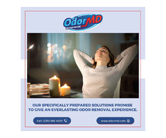 Top Choice for Odor Removal Services in Cape Coral | free-classifieds-usa.com - 1