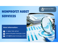 Secure and Reliable Nonprofit Audit Services at BlueArrow CPAs | free-classifieds-usa.com - 1