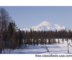 Cabin Overlooking Lake and Nature near Denali National Park Alaska | free-classifieds-usa.com - 4