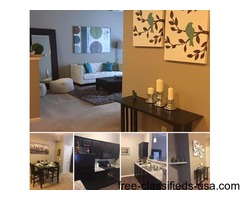 Brand New 1, 2 and 3 Bedroom Apartment Homes | free-classifieds-usa.com - 1