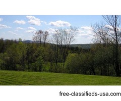 75+ acres for sale | free-classifieds-usa.com - 1