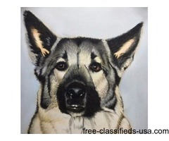 Custom Drawn Portraits | free-classifieds-usa.com - 1