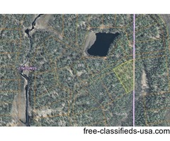 AMAZING UNRESTRICTED LAND IN THE HEART OF THE WILDERNESS | free-classifieds-usa.com - 1